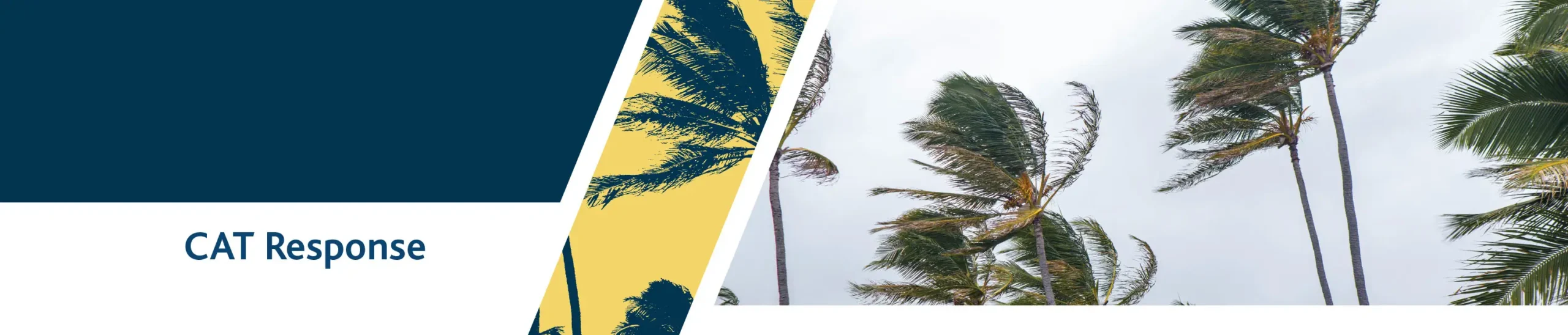 Halliwell CAT Response