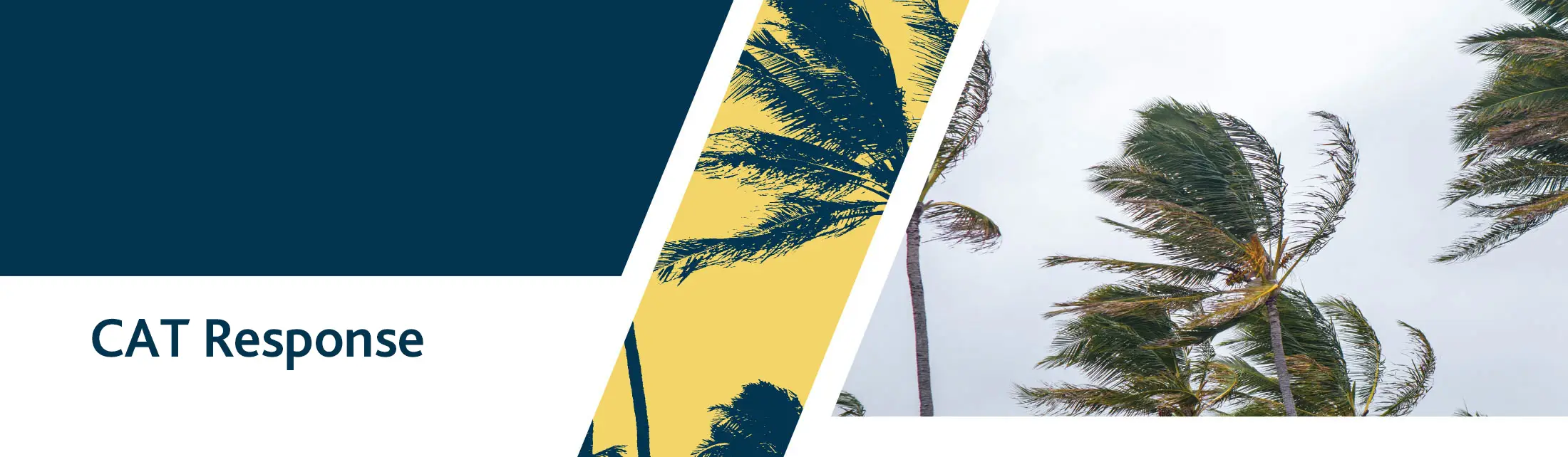 Halliwell CAT Response